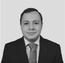 Team Member